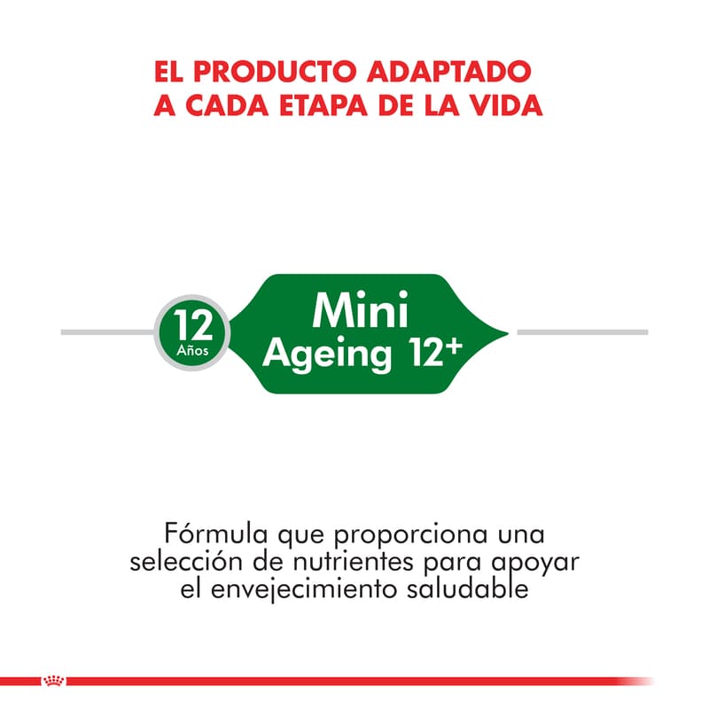 royal-canin-mini-ageing-12