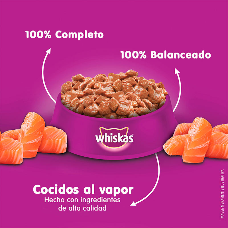 whiskas-alimento-humedo-sobrecito-gato-salmon-salsa