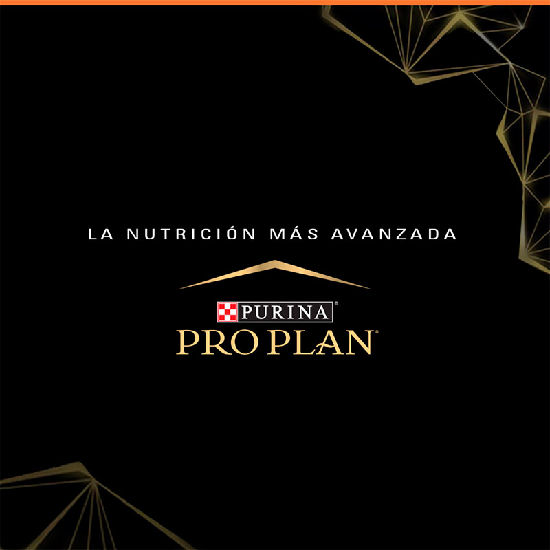 pro-plan-alimento-seco-perro-cachorros-todo-tamano-sensitive-skin-cordero