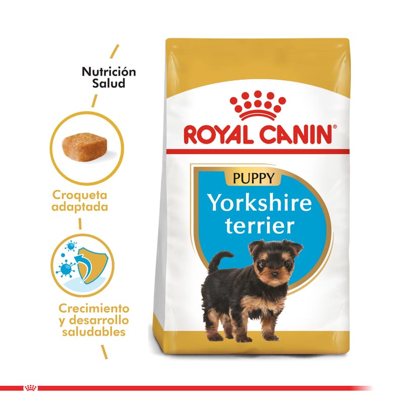 royal-canin-yorkshire-terrier-puppy