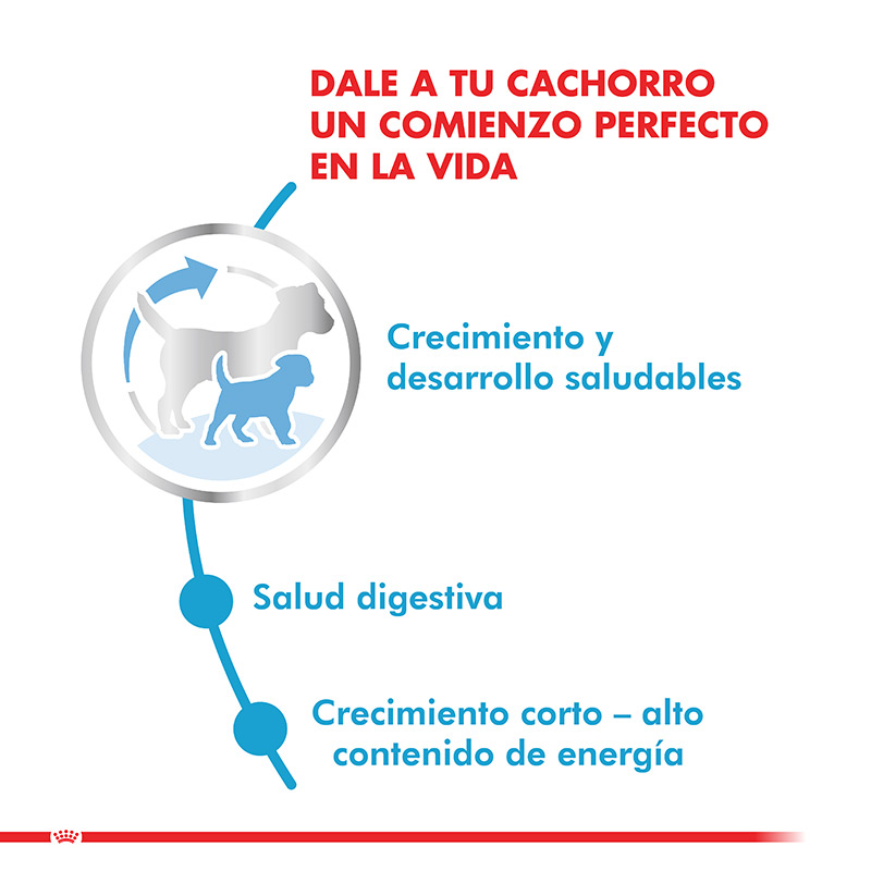 royal-canin-medium-puppy-cachorro