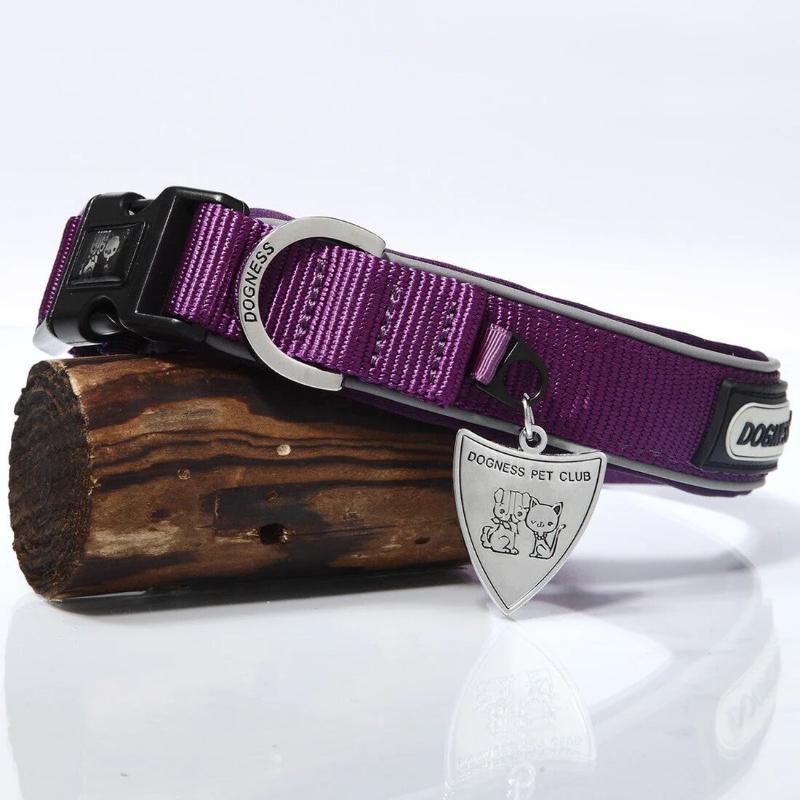 dogness-collar-classic-morado-perro