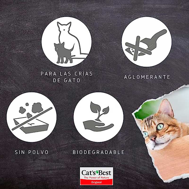 cats-best-arena-oko-plus-para-gato