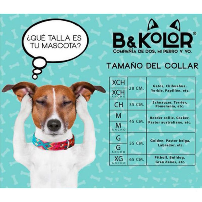 bkolor-collar-artesanal-blue-para-mascota