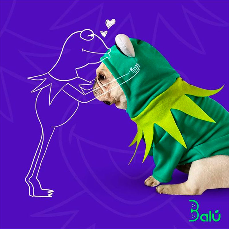 balu-disfraz-mascota-rana-rene
