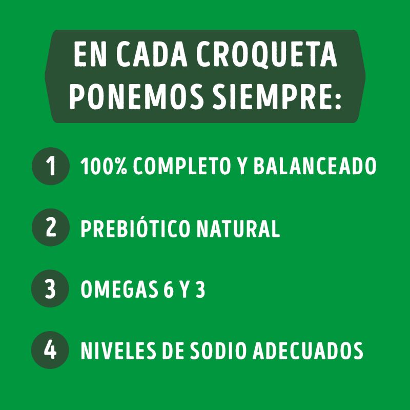 dog-chow-salud-visible-cachorros-medianos-y-grandes