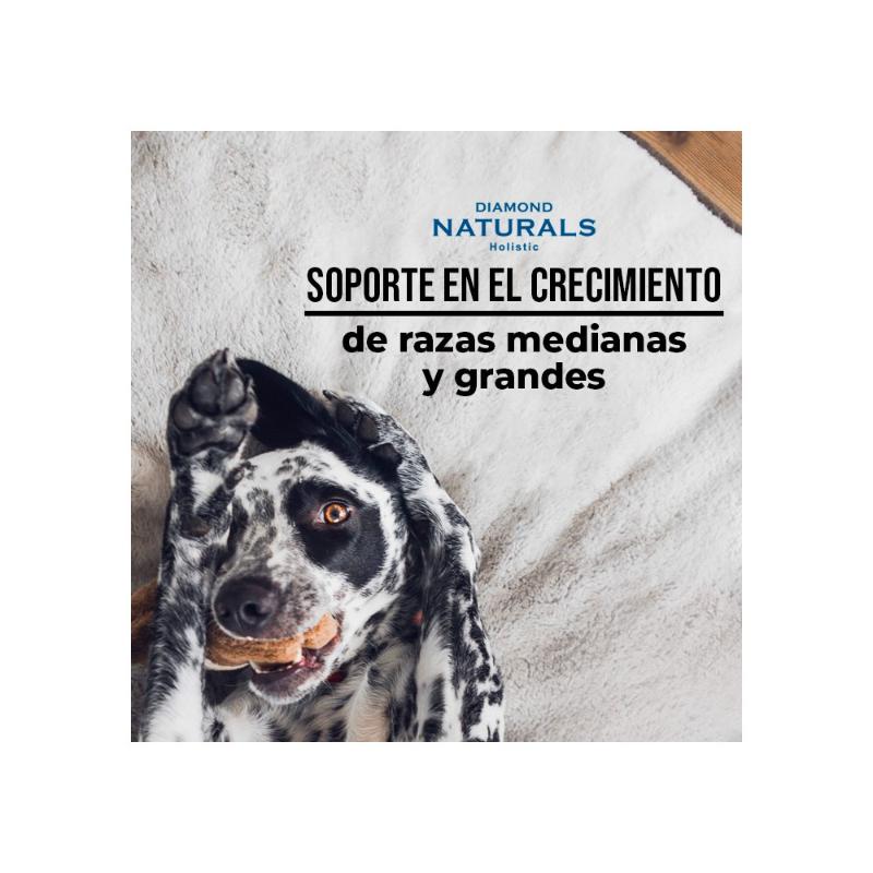 diamond-alimento-naturals-cachorro-talla-grande-receta-cordero