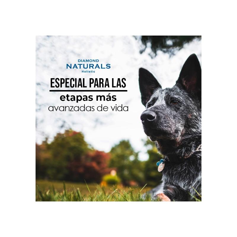 diamond-naturals-senior-pollo