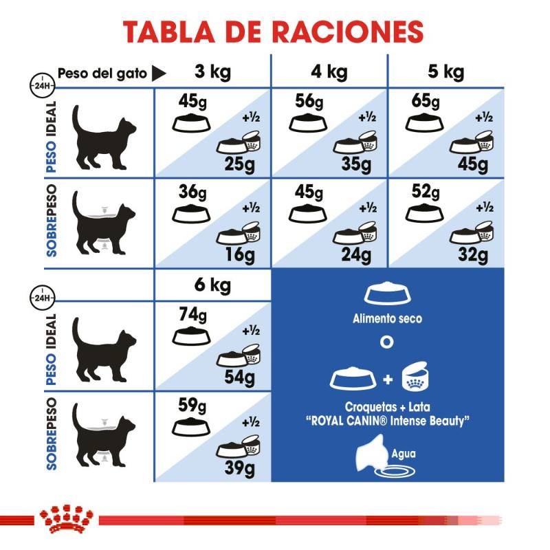 royal-canin-alimento-seco-indoor-gato