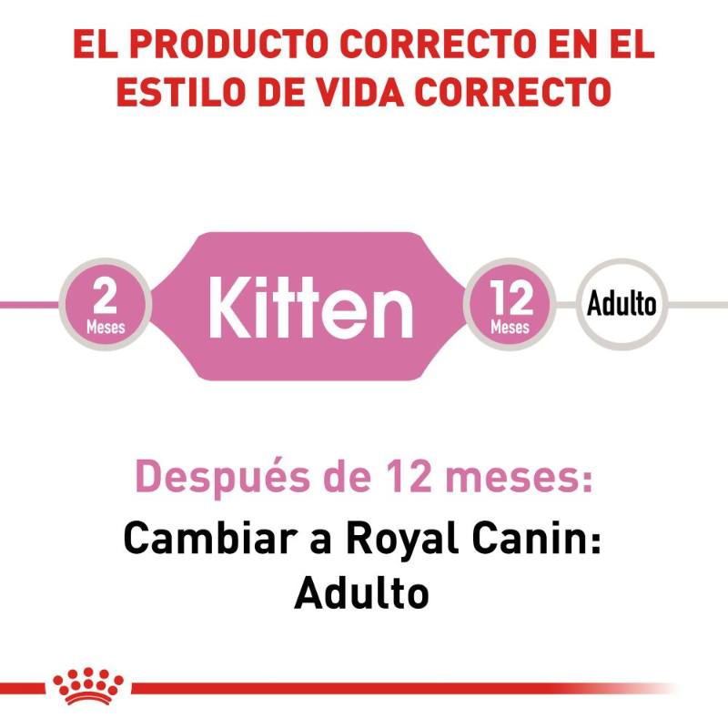 royal-canin-alimento-seco-para-minino-kitten