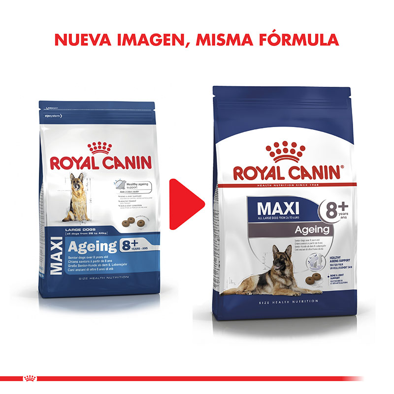 royal-canin-maxi-adulto-8-ageing