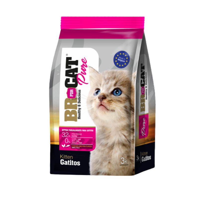 Br For Cat - Gatitos Cachorros