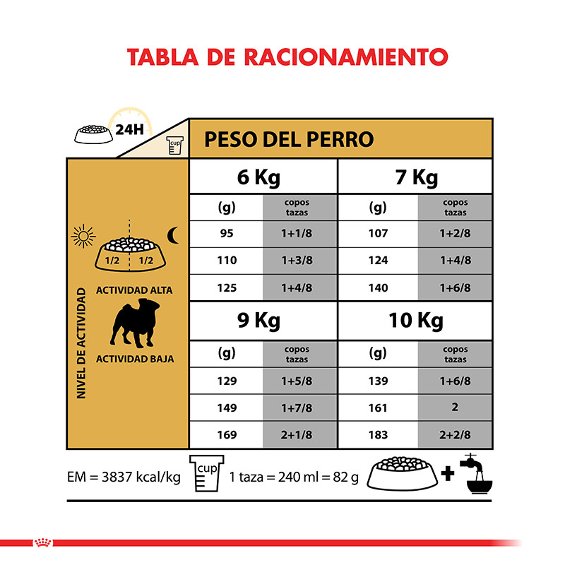 royal-canin-pug-adulto