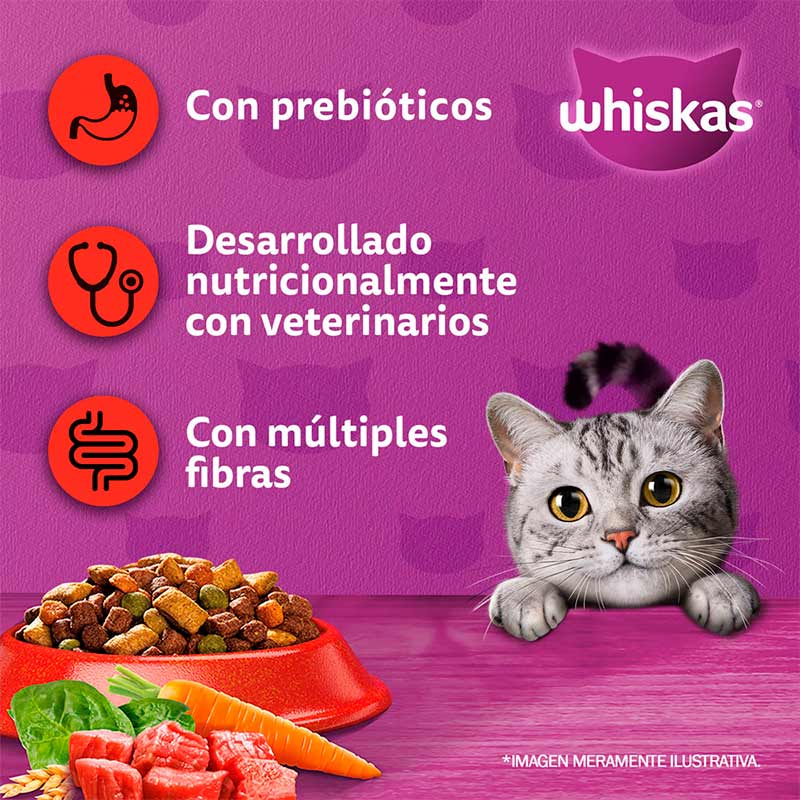whiskas-alimento-seco-para-gato-adulto-sabor-carne