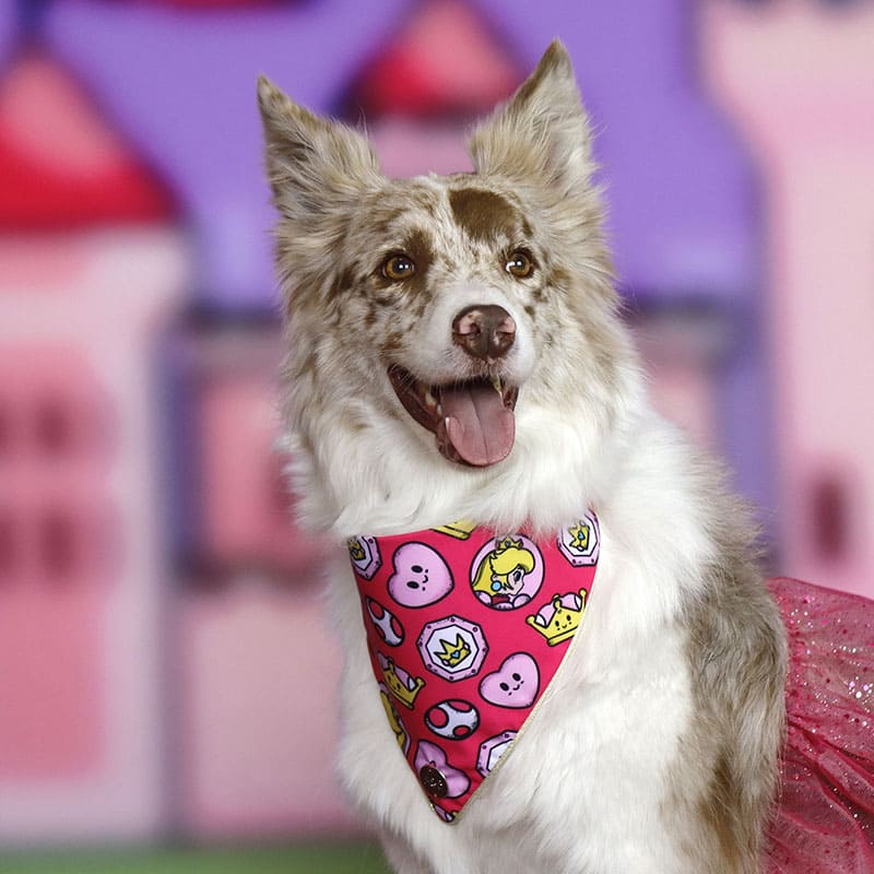 alana-bandana-disfraz-perro-princesa-pawch
