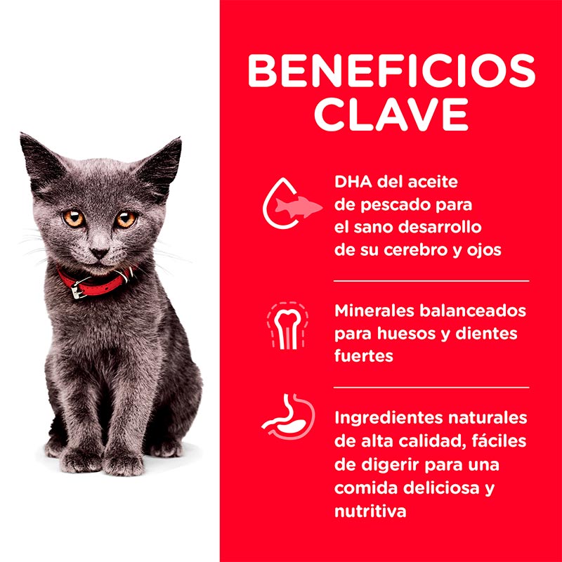 hills-science-diet-kitten-indoor-chicken-recipe-cat