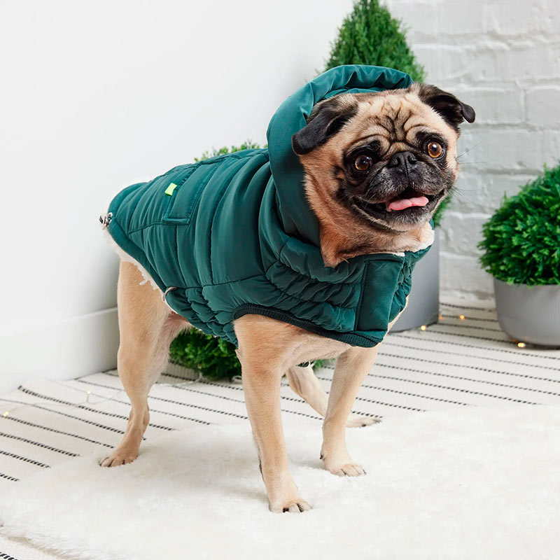 gf-pet-parka-super-puff-verde-azulado