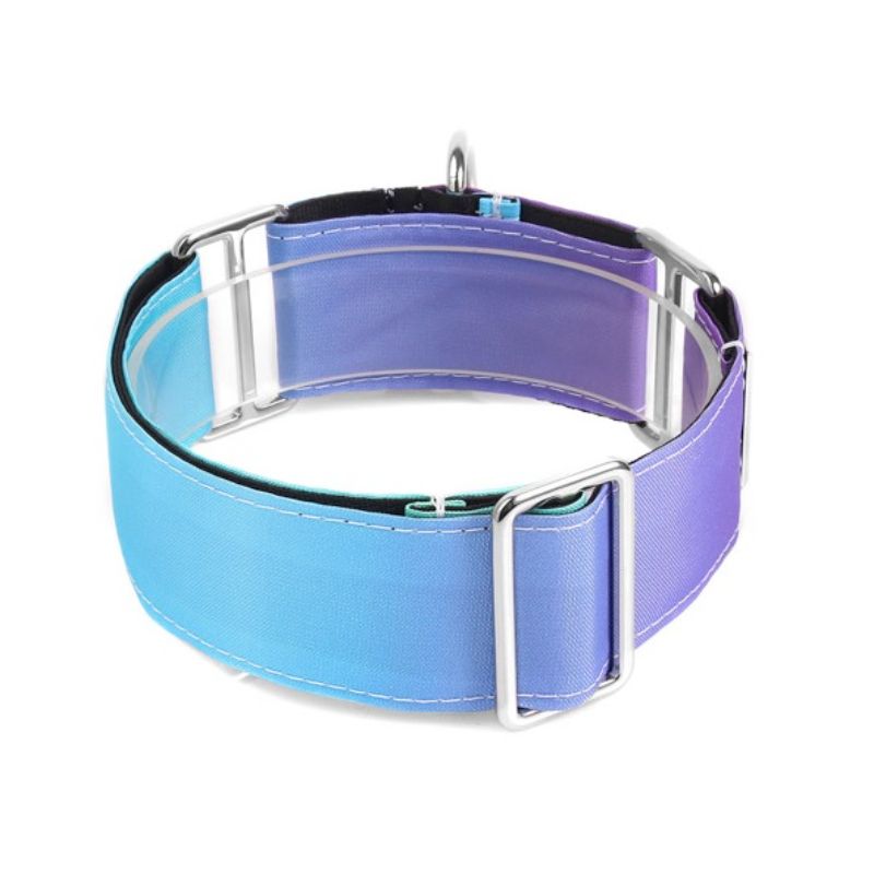 bellcher-collar-martingale-gradient-lila-5-cm