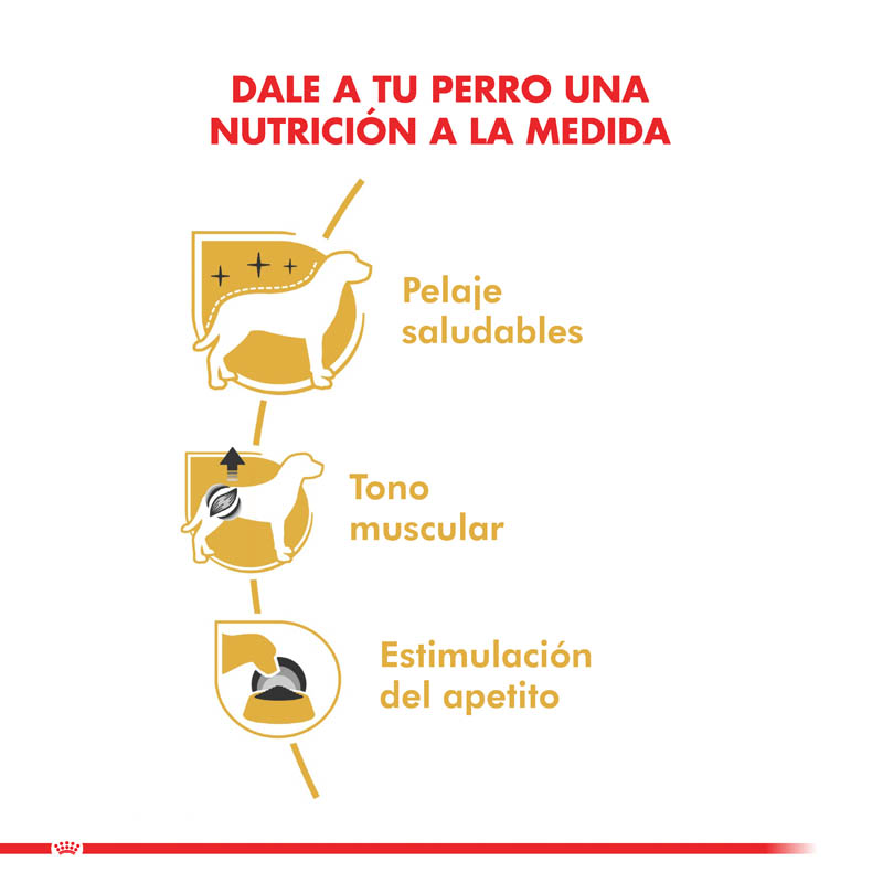 royal-canin-poodle-adulto-pouch-85-g