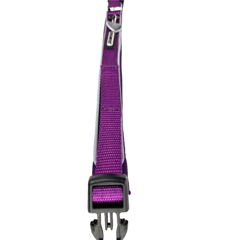 dogness-collar-classic-morado-perro