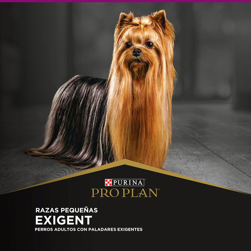pro-plan-dog-adult-exigent-optienrich-raza-pequena
