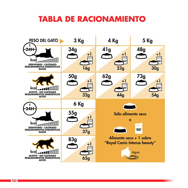 royal-canin-adulto-gato-siamese