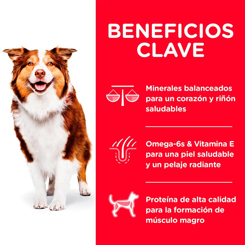 hills-science-diet-adult-7-chicken-meal-barley-brown-rice-recipe-dog