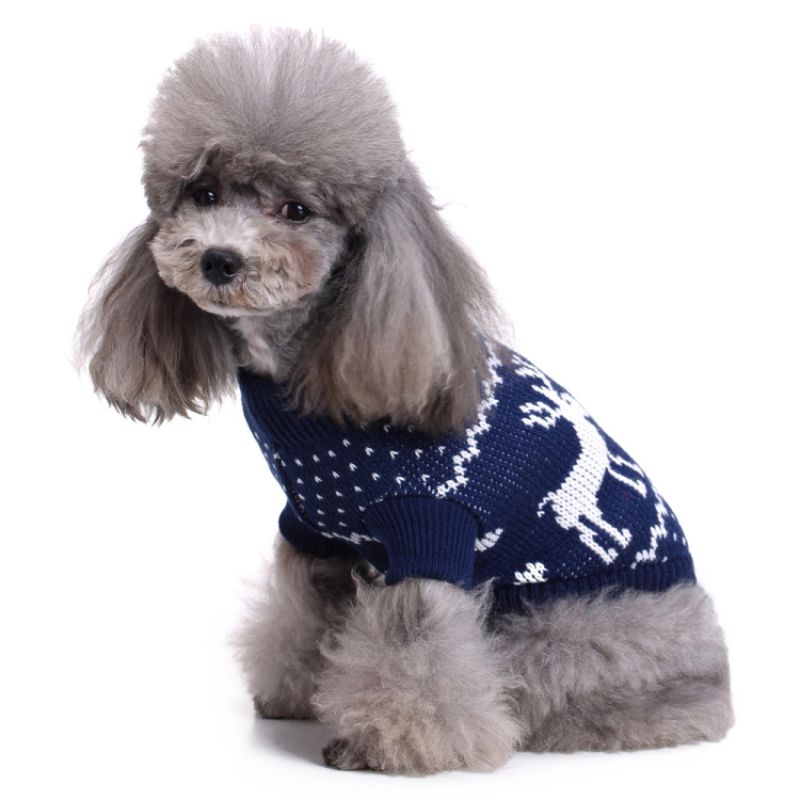 valentin-for-pets-sueter-azul-navideno