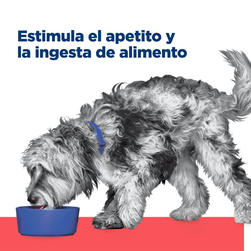 hills-prescription-diet-alimento-seco-para-perro-onc-care-nutricion-y-apoyo-de-recuperacion