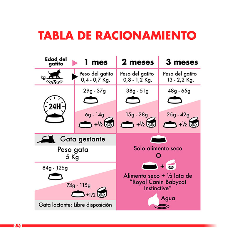 royal-canin-alimento-para-gatitos-yo-gatas-en-gestacion-y-lactancia-mother-and-babycat