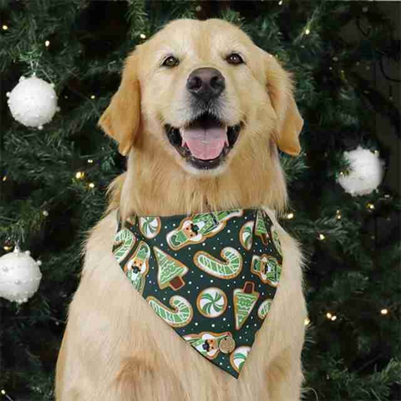 alana-bandana-cascanueces