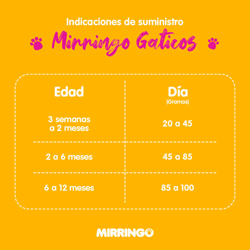 mirringo-gaticos