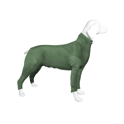 enterizo-en-lycra-verde