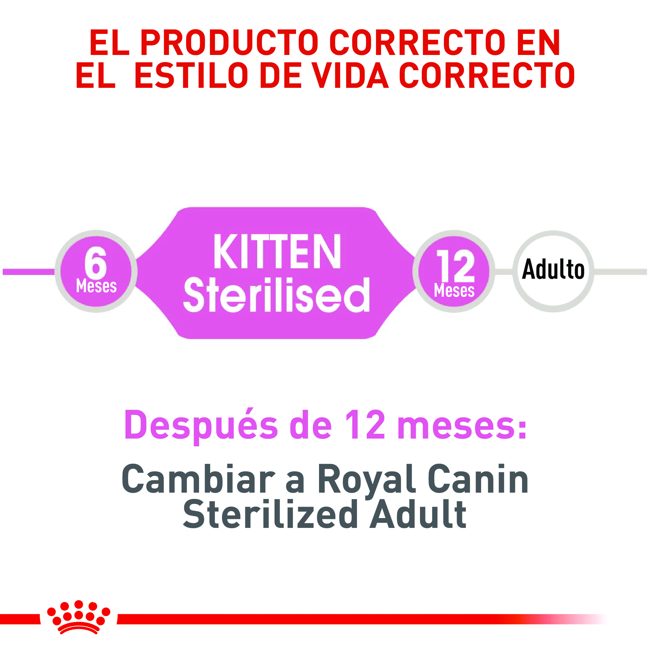 royal-canin-second-age-kitten-sterilised