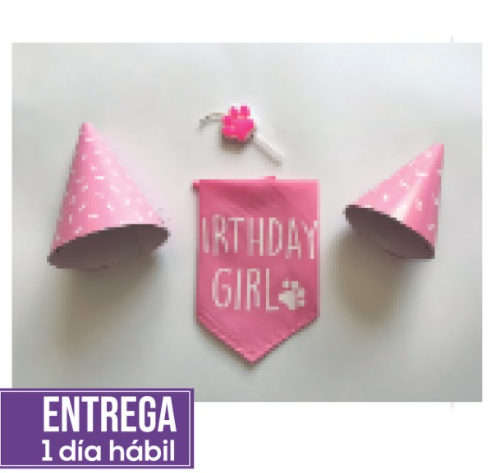 Pet Gourmet - Kit Pañoleta Cumpleaños Hembra
