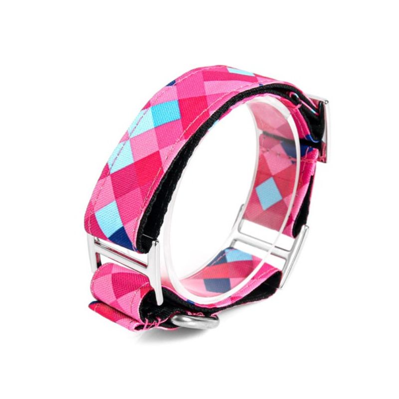 bellcher-collar-martingale-pixel-rosa-5-cm