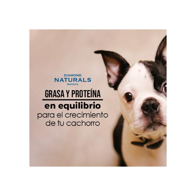 diamond-naturals-small-breed-puppy-pollo-y-arroz