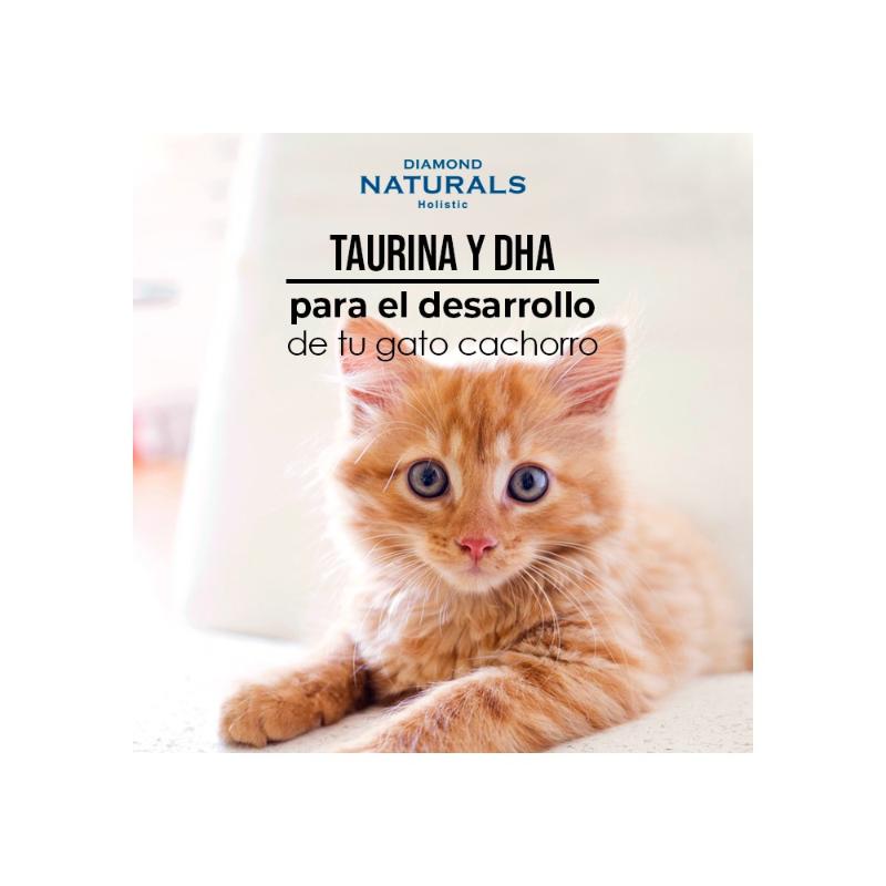 diamond-naturals-kitten-cat-pollo