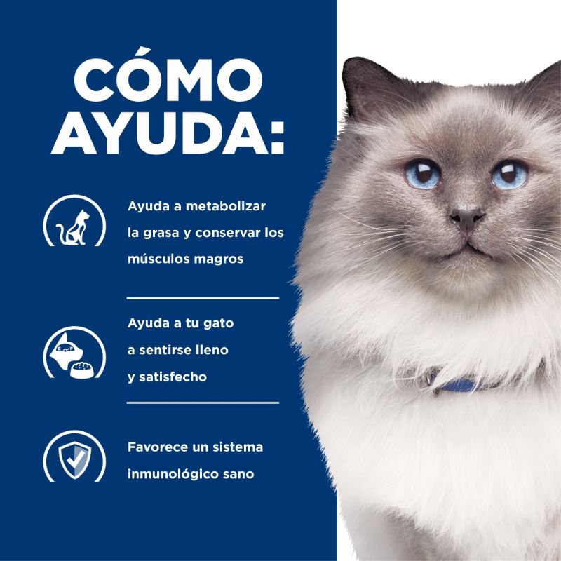 hills-prescription-diet-rd-reduccion-del-peso-gato
