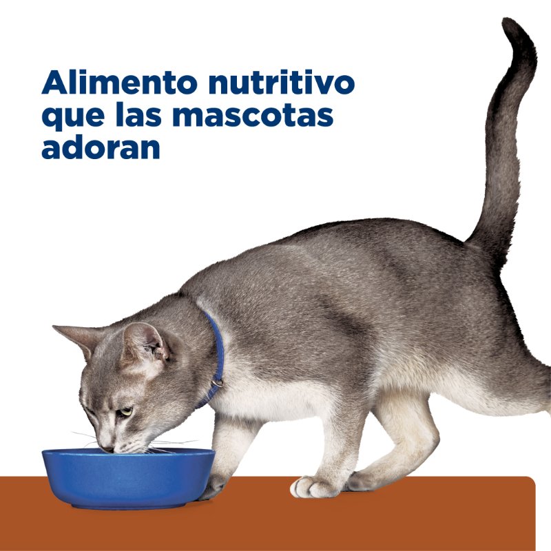 hills-prescription-diet-kd-salud-renal-gato-lata