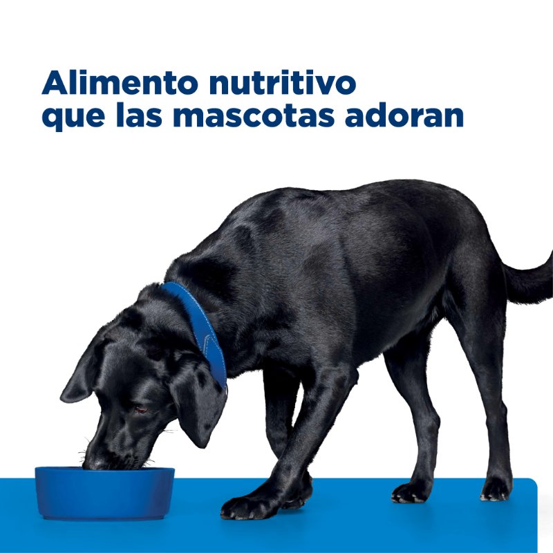 hills-prescription-diet-dd-alergias-alimentarias-salmon