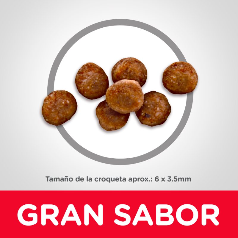 hills-science-diet-kitten-indoor-croquetas-para-minino