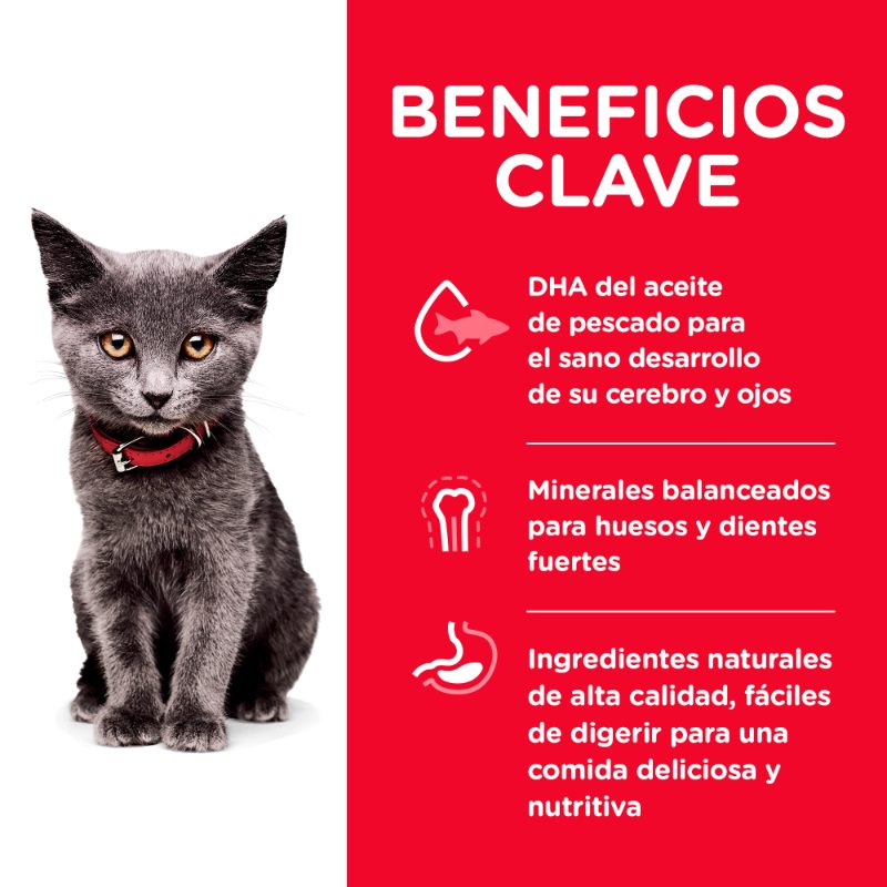 hills-science-diet-kitten-indoor-croquetas-para-minino