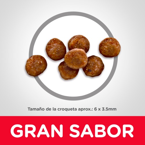 hills-science-diet-kitten-indoor-croquetas-para-minino