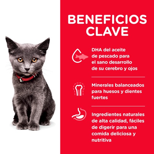 hills-science-diet-kitten-indoor-croquetas-para-minino