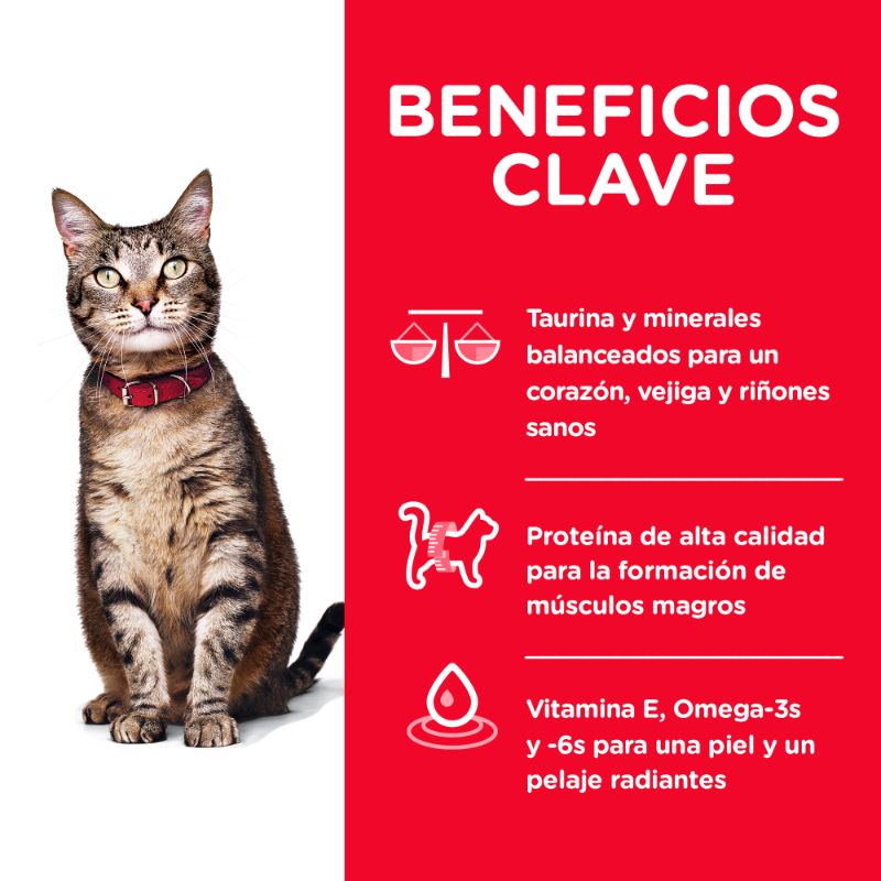 hills-science-diet-adult-alimento-para-gato-adultoto