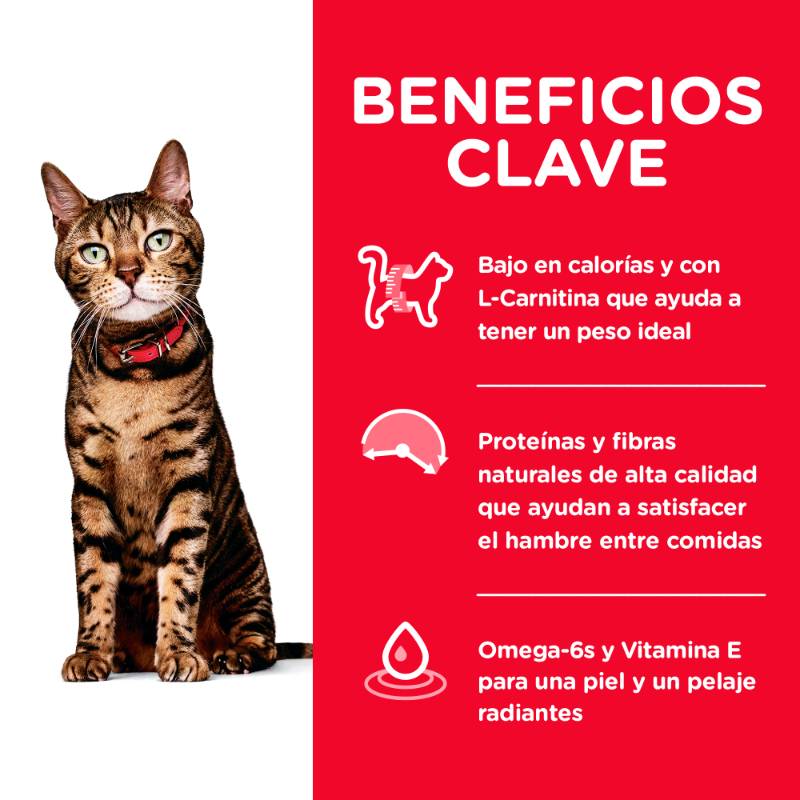 hills-science-diet-alimento-seco-gato-adulto