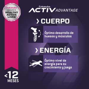 eukanuba-cachorro-raza-grande-chicken