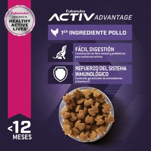 eukanuba-cachorro-raza-grande-chicken