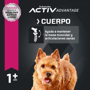 eukanuba-adulto-raza-pequena-chicken